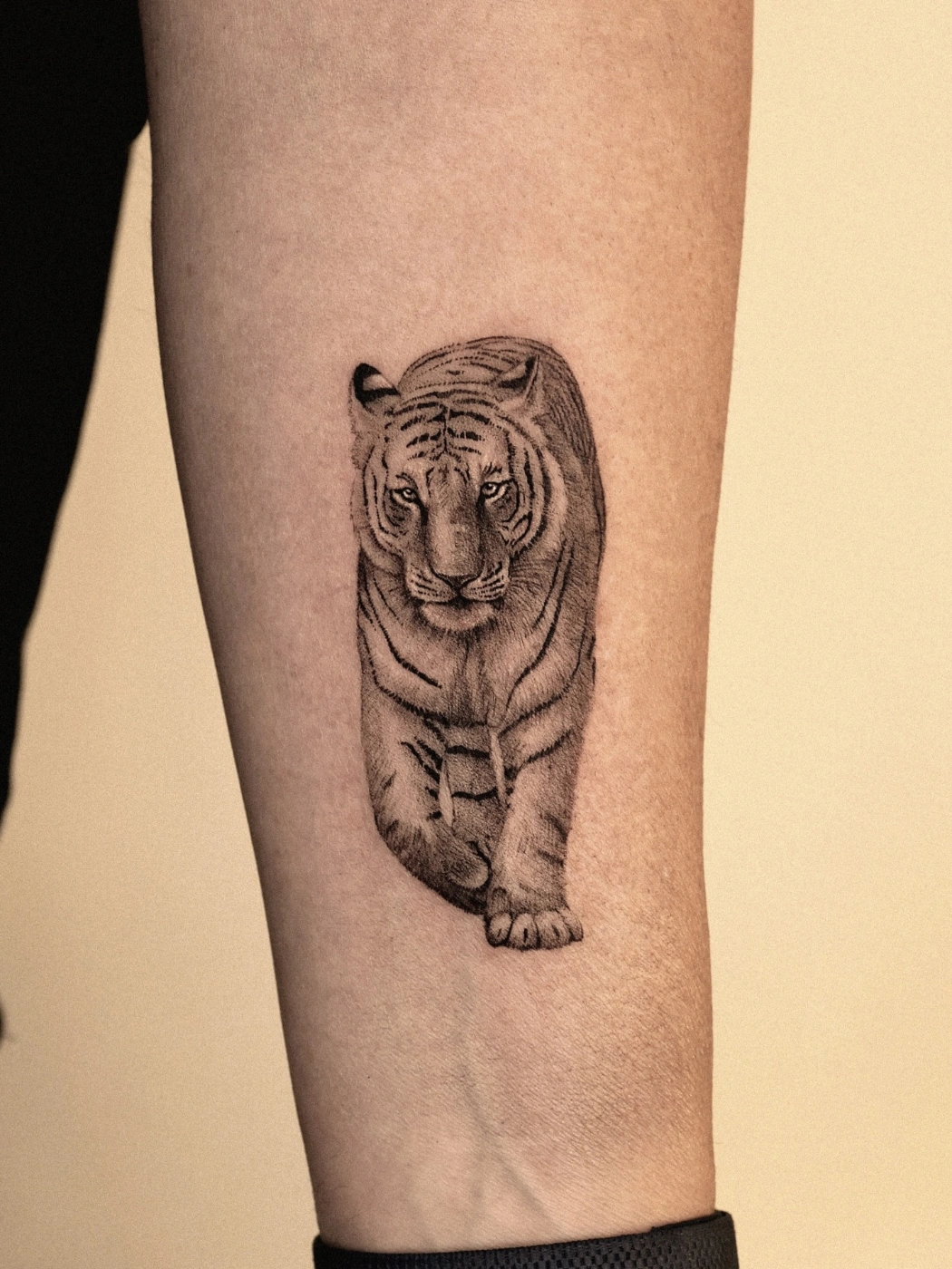Realistic black-and-grey tiger tattoo on the forearm, showing the crisp line and controlled shading a well-tuned pen machine can deliver