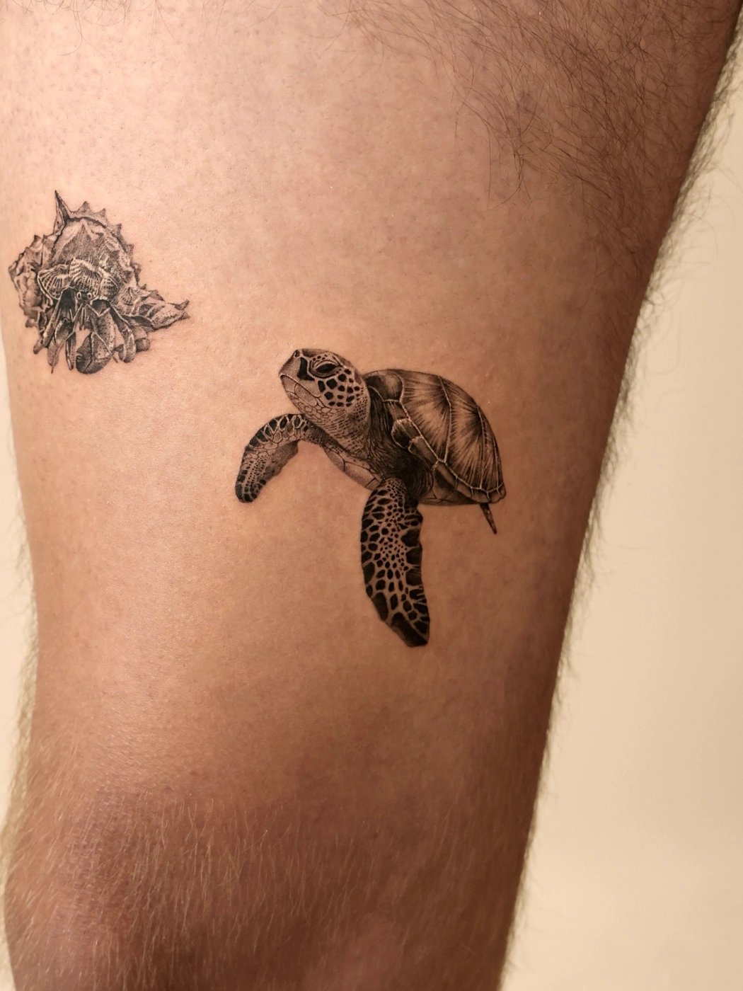 Realistic sea turtle tattoo on thigh in black and grey.