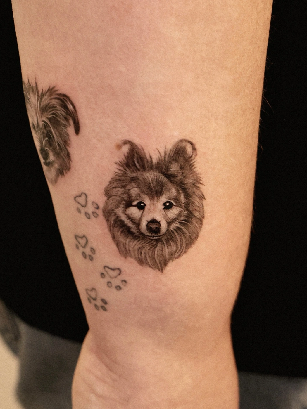 Realistic dog portrait tattoo with paw prints on forearm.
