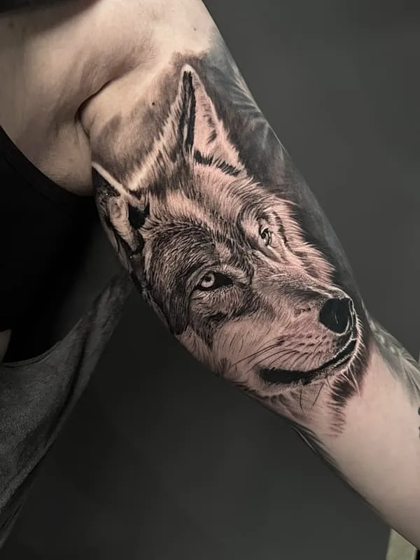 Realistic black-and-grey wolf tattoo on the arm.