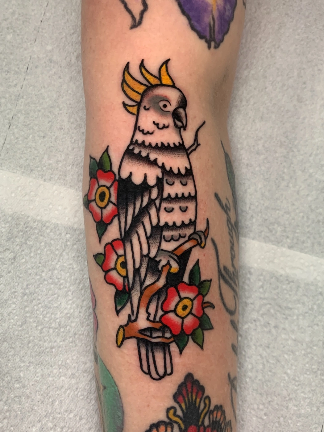 Colorful cockatoo tattoo on forearm with flowers.