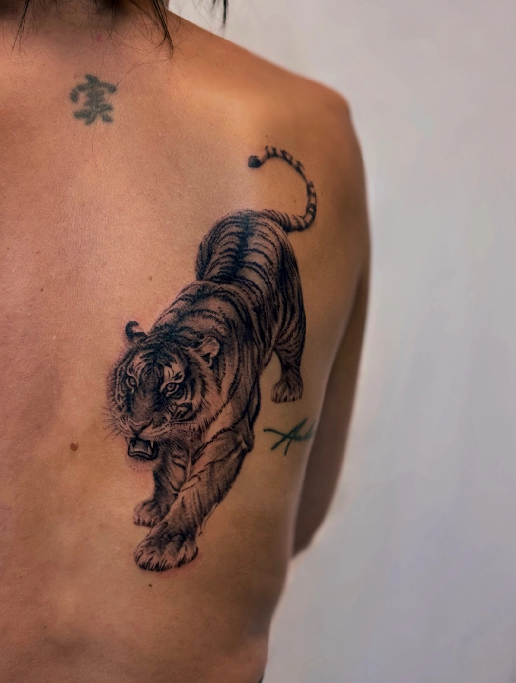 Realistic tiger tattoo on the back.