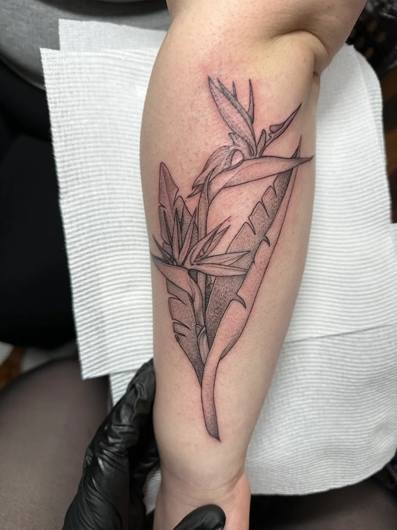 Bobbie Dazzler Tattoo portfolio 2