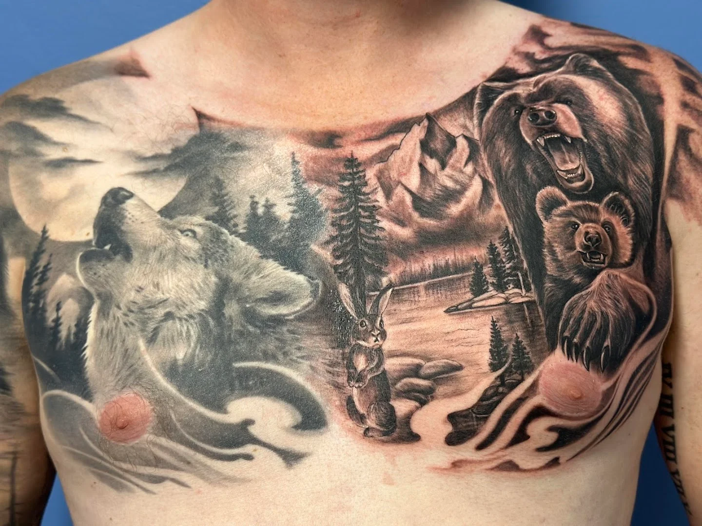 Celebrity Ink Highpoint portfolio 3