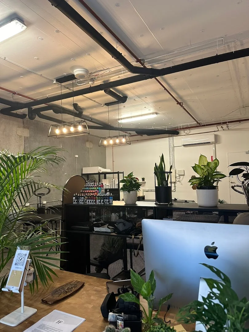 Highfi Studio profile