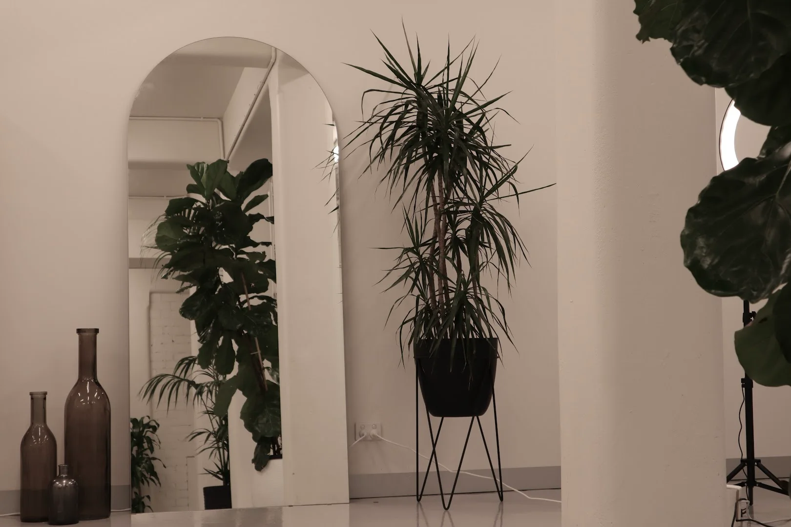 Studio Absent profile