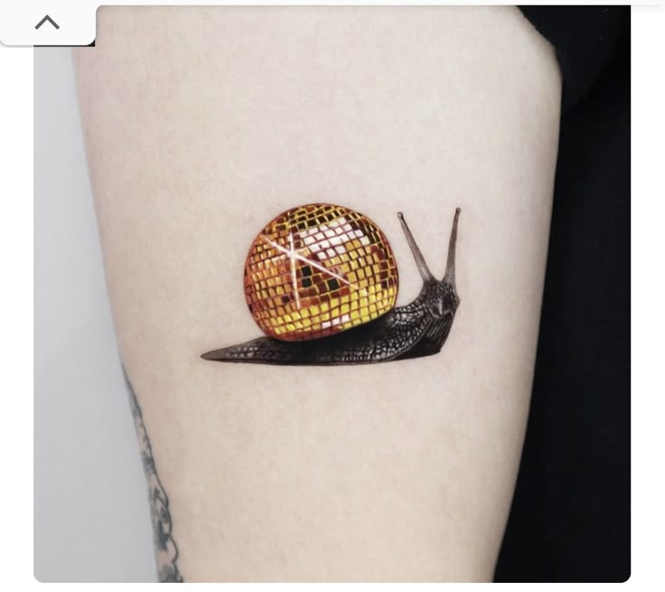 Unique 3D Snail Tattoo Design