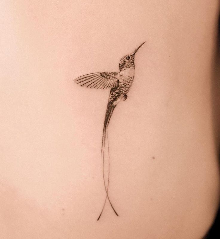 Elegant Hummingbird Fine Line Tattoo