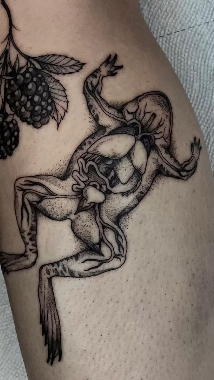 Anatomical Frog Leg Tattoo
