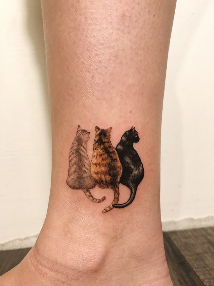 Charming Trio: Realistic Cat Tattoo