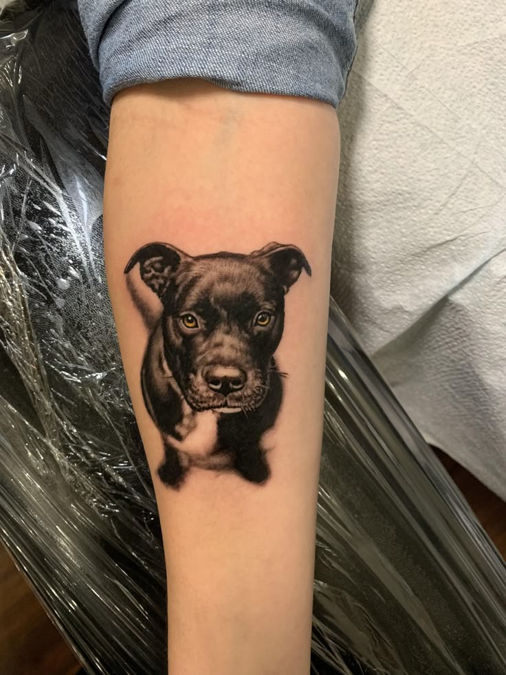 Realistic Dog Portrait Tattoo for Animal Lovers
