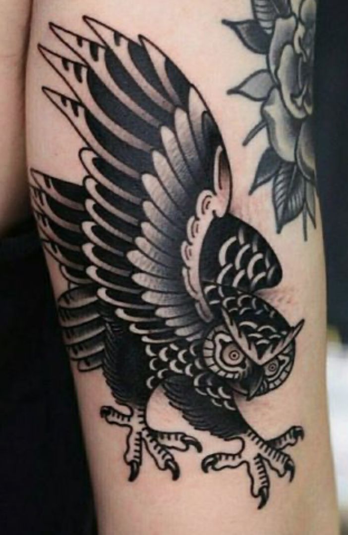 Majestic Owl Traditional Tattoo
